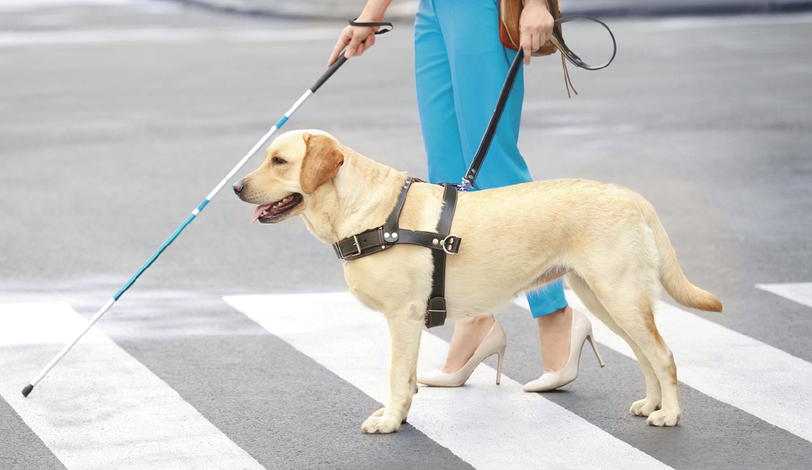 can a hotel ask for service dog papers