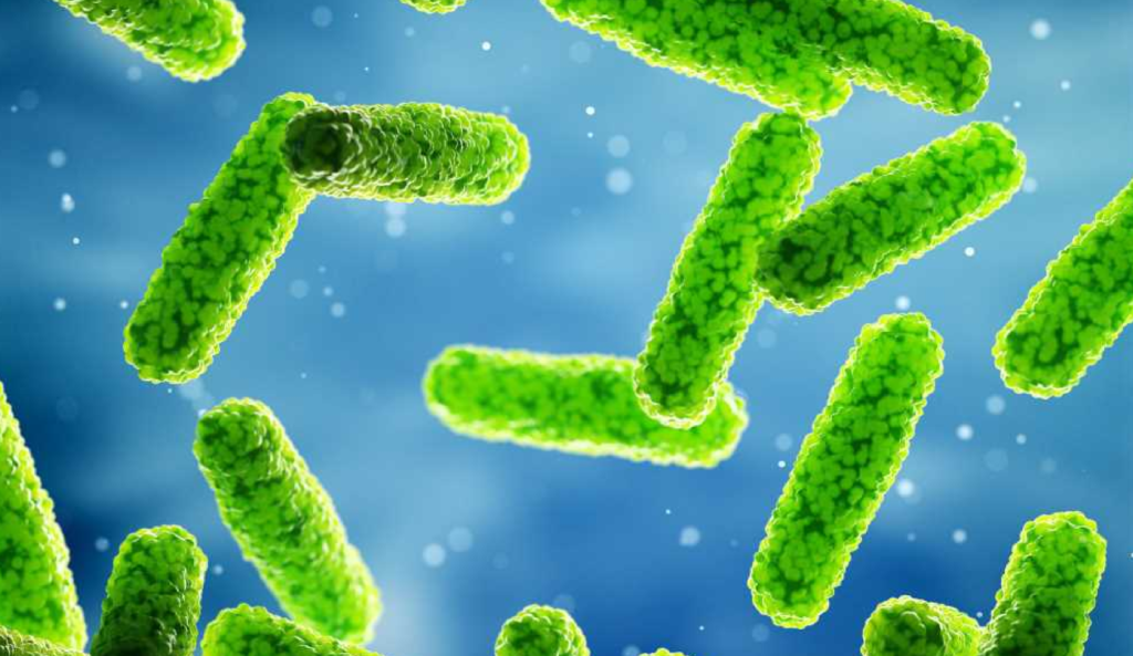 How To Prevent Legionnaires Disease In Hotels