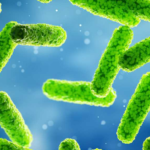 How To Prevent Legionnaires Disease In Hotels