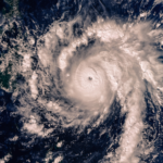 Art Collection Protection A Guide For Insurance Brokers During Hurricane Season | Distinguished Programs
